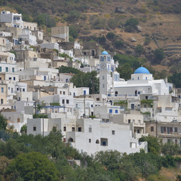 Koronida