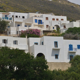 Koronida
