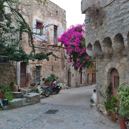 Mesta