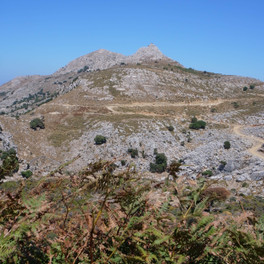 Ikaria