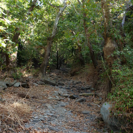 Ikaria