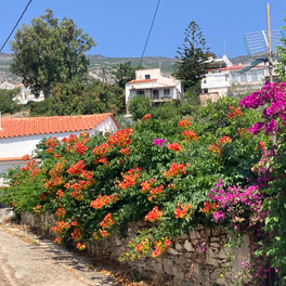 Agios Kirikos