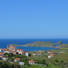 Plati