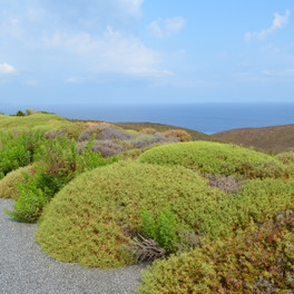 Limnos