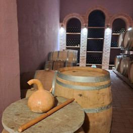 Wine tour s ochutnávkou vína