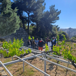 Wine tour s ochutnávkou vína