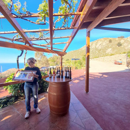 Wine tour s ochutnávkou vína