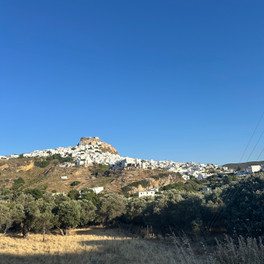 Skyros - město