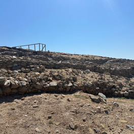 Archeologické nálezy Palamirious