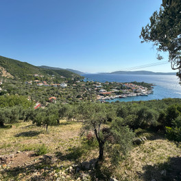 Steni Vala
