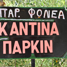 Pláž Fonea
