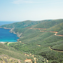 Chalkidiki