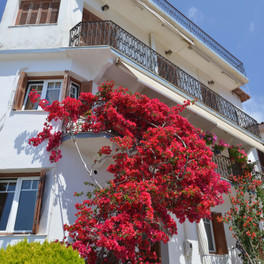 Parga