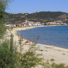 Sarti