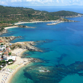 Sarti