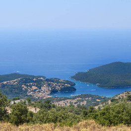 Sivota