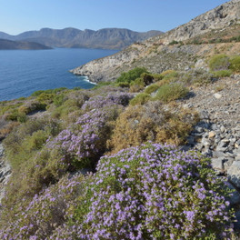 Kalymnos