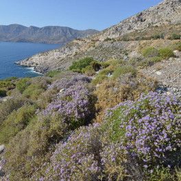 Kalymnos