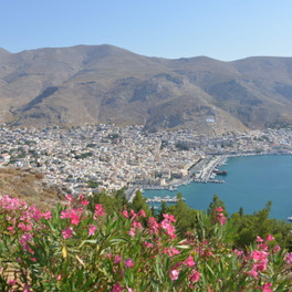 Pothia