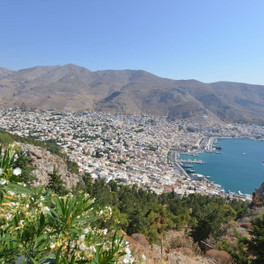 Pothia