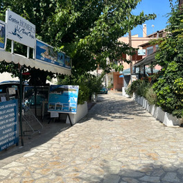 Mesonghi
