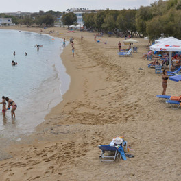 Logaras