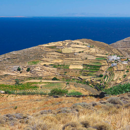 Syros